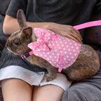 Habbiful outdoor walking bunny clothes with durable metal clip connection
