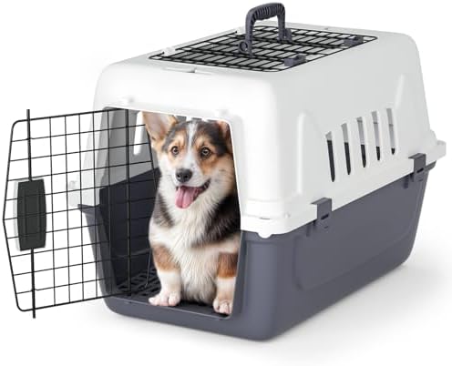 Magshion two door pet travel kennel top loading door open view