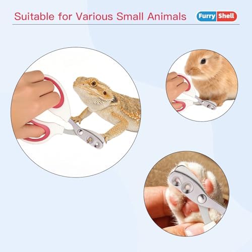 FurryShell professional reptile grooming kit packaging and included accessories.