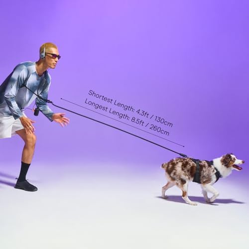 Authentic Wild One hands-free dog leash adjusted around the waist for running