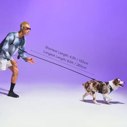Authentic Wild One hands-free dog leash adjusted around the waist for running