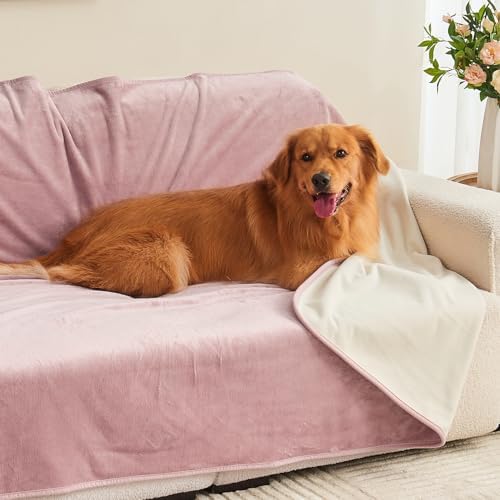 Golden retriever dog resting comfortably on the pink side of the blanket.