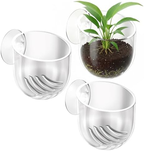 Eldraqth acrylic aquatic planter cup with suction cups showing angled opening for light exposure
