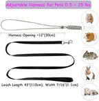 Durable nylon leash attached to figure 8 pet harness