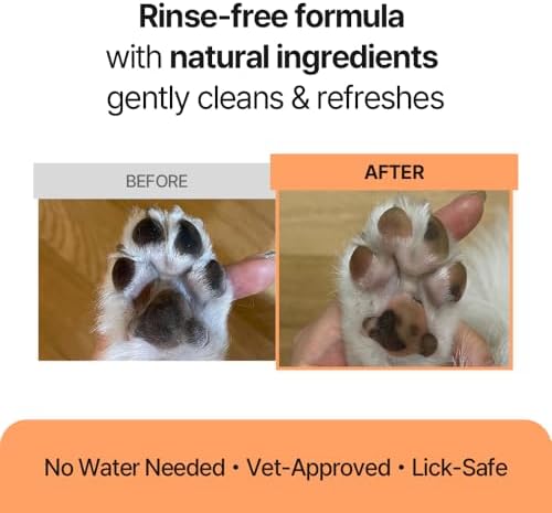 Close up of cat soft coat after foam application
