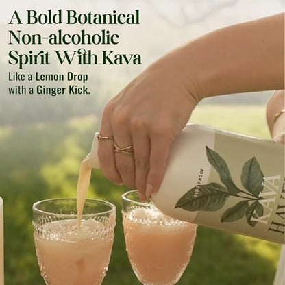 Kava Haven premium plant based kava root beverage ingredients view
