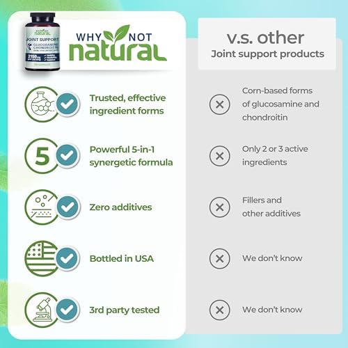 Why Not Natural Glucosamine Chondroitin, MSM, Joint Support Supplements - Knee Pain Joints Health Suppplement - Image 6