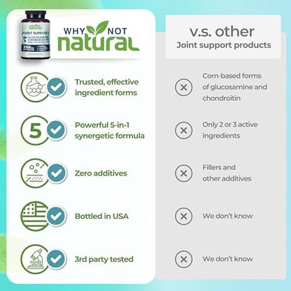 Why Not Natural Glucosamine Chondroitin, MSM, Joint Support Supplements - Knee Pain Joints Health Suppplement - Image 6
