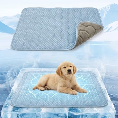 Golden Retriever puppy sleeping peacefully on the reversible pet crate pad.