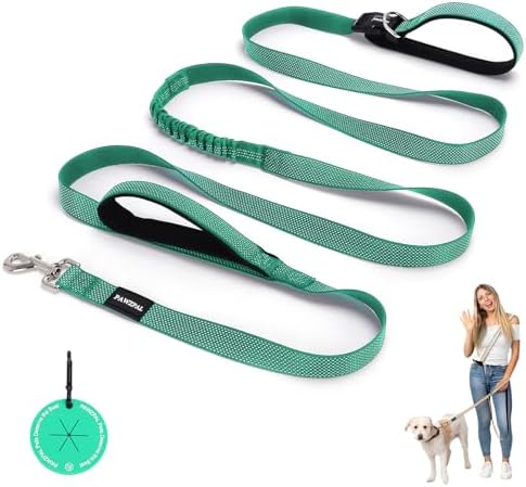 Pawzpal adjustable waist and crossbody dog leash belt