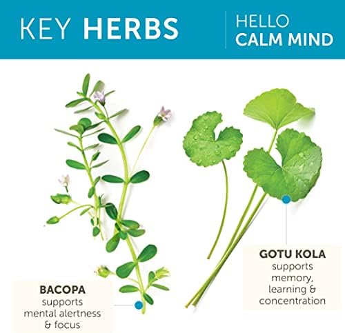 Close up of Himalaya Hello Calm Mind focus and relaxation supplement packaging