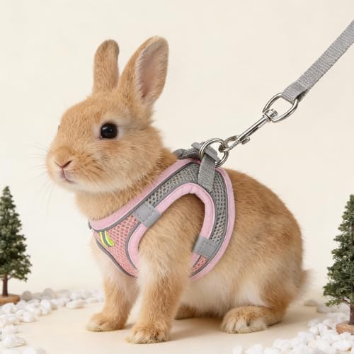 Gtziqa pink small size guinea pig and kitten harness with matching grey leash