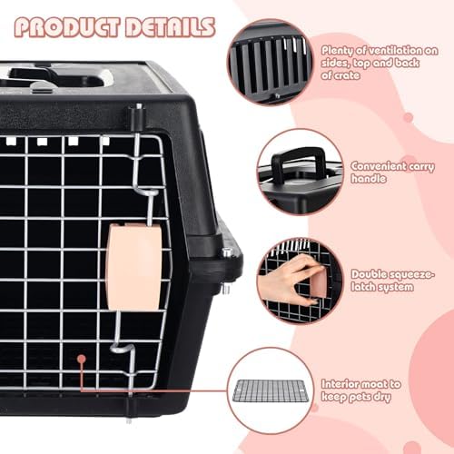 Locmeo pet carrier set including cooling pad and bowl