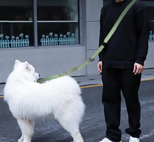 Kubemueg reflective dog leash for nighttime visibility