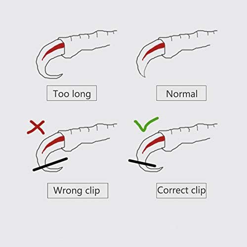 Side angle of OMEM bird nail clippers for budgies and cockatiels