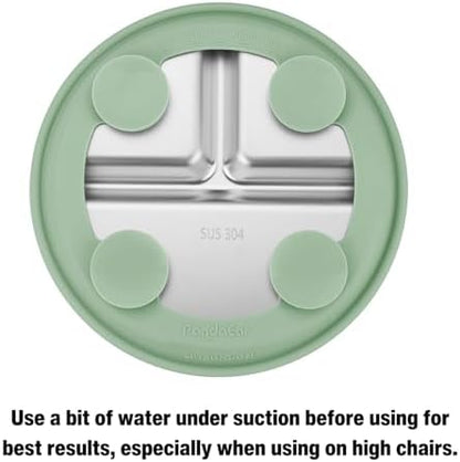 Top view of PandaEar divided baby suction plates and spoons