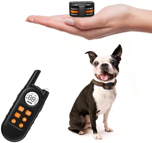 Lightweight electric dog collar receiver for small dogs displayed next to the compact remote transmitter.