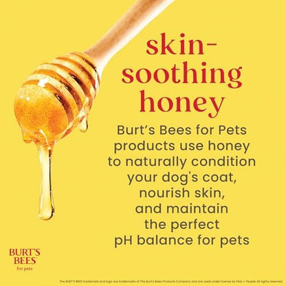 Sulfate and paraben free hypoallergenic pet care solution