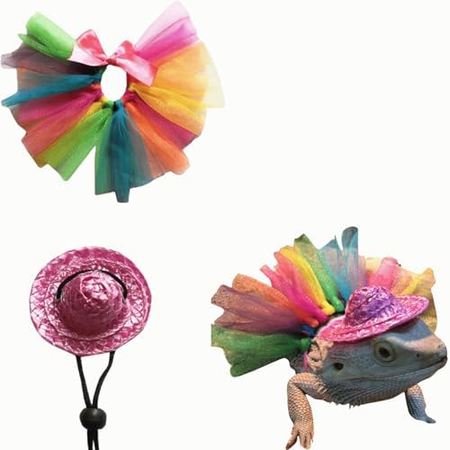 Sawyd Halloween bearded dragon clothes accessories set showing front view of the pink witch hat and rainbow tutu