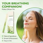 Two count package of HENGRUNXIN lung cleansing inhalers displaying the natural mullein and mint ingredients.