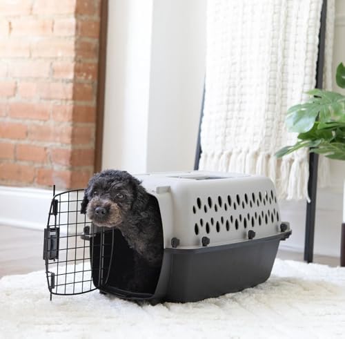 Durable plastic pet travel carrier with open wire mesh door