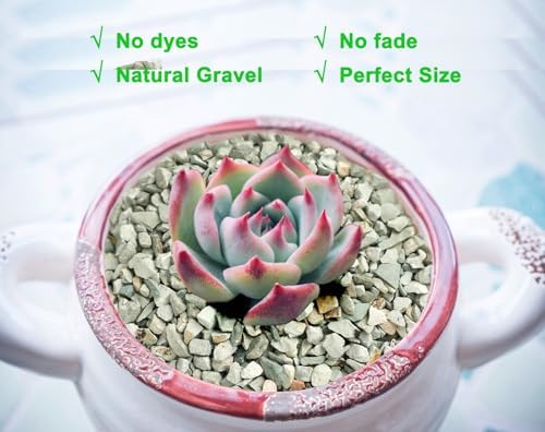 Boniosz packaging detail highlighting 2 pound weight and natural composition