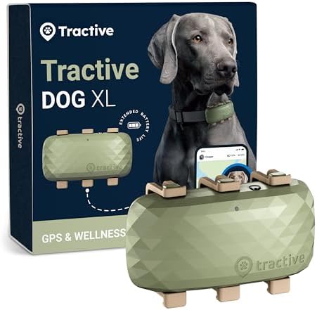 Tractive XL GPS tracker mounted on a large dog collar
