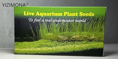 Healthy green fish tank ecosystem with live forest vegetation effect