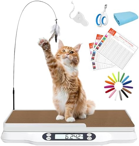 Kanmeii digital small animal scale setup with the integrated cardboard cat scratcher pad installed.