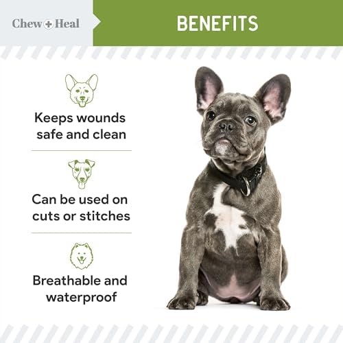 Chew + Heal Labs waterproof liquid bandage for dogs application on a minor scrape