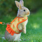 Hotlion guinea pig walking harness showing secure hook and loop fastener system