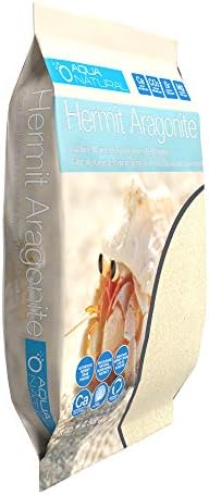 Hermit crab in a natural habitat with aragonite sand substrate