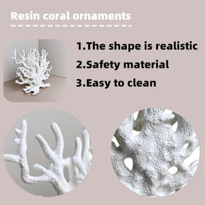 SwandTanpand white coral decor serving as an aquarium cave hideout for small betta fish inside a ten-gallon tank.