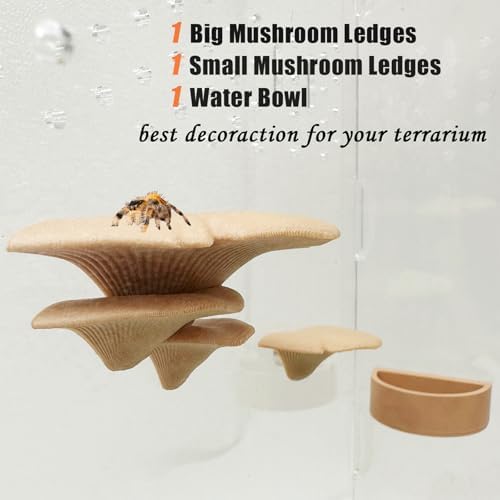 2 Pack Jumping Spider Accessories Mushroom Ledges & 1 Pack Water Bowl with Magnets for Spoods Jumping Spiders Magnetic Ledge Ladder Pet Spider Accessories (Not Included The Terrarium) (beige) - Image 3