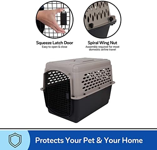 Petmate large breed dog carrier interior space visualization showing pet comfort room.