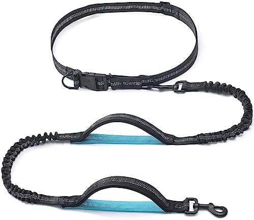 Iyoshop black hands free dog leash with waist belt