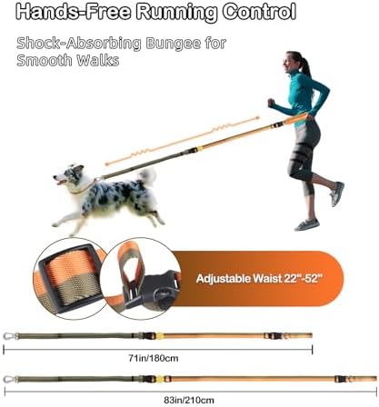 EVERKING dual handle reflective nylon pet leash for large dogs close up
