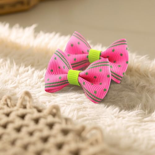 Dog hair clips for grooming and special events