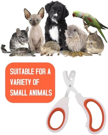 Engorgio premium stainless steel bearded dragon supplies packaged for reptile care.