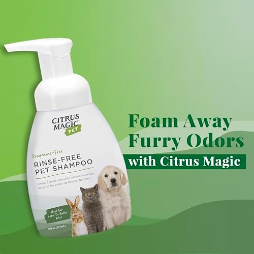 USA imported Citrus Magic pet deodorizer rinse free spray bottle on a clean background.