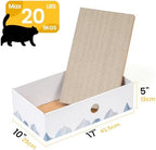 Cat paws scratching the durable paper surface inside the box