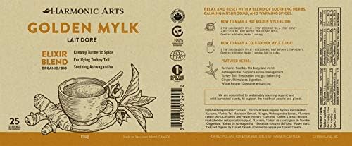 Prepared Harmonic Arts Golden Mylk Elixir in a glass mug