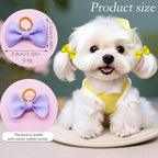 Senniea diamond-accented pet bow accessory for small dogs