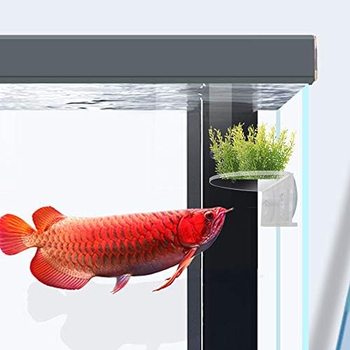 Transparent underwater shelf holding substrate and aquatic ornaments