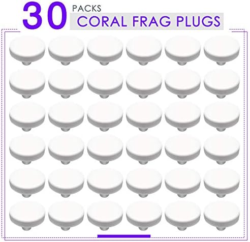 Aquarium Choice 0.98 inch crown coral plugs close up