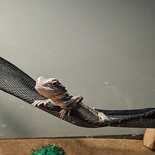 Side view of gecko climbing on the nylon reptile hammock