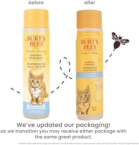 Mild tearless kitten shampoo formulated with buttermilk and honey for gentle pet cleansing