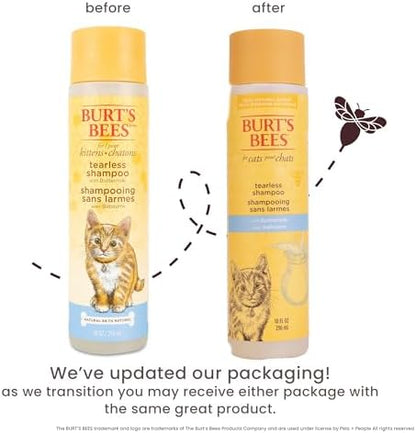 Mild tearless kitten shampoo formulated with buttermilk and honey for gentle pet cleansing