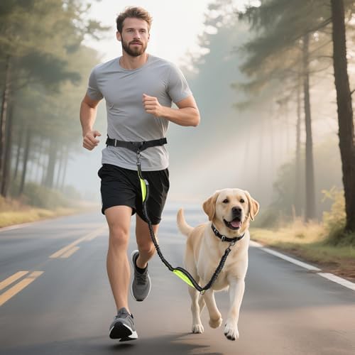 Shock absorbing bungee leash expanding to cushion pulling force from medium and large dogs.