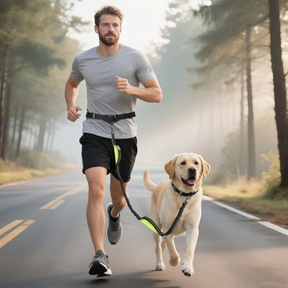 Shock absorbing bungee leash expanding to cushion pulling force from medium and large dogs.